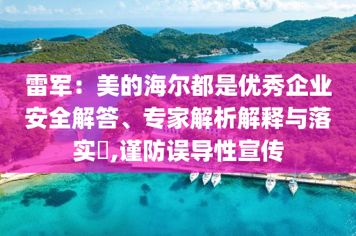 雷軍：美的海爾都是優(yōu)秀企業(yè)安全解答、專家解析解釋與落實?,謹防誤導性宣傳