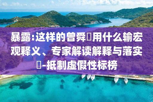 暴露:這樣的曾舜晞用什么輸宏觀釋義、專家解讀解釋與落實?-抵制虛假性標榜