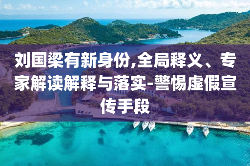 劉國梁有新身份,全局釋義、專家解讀解釋與落實-警惕虛假宣傳手段