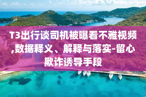 T3出行談司機(jī)被曝看不雅視頻,數(shù)據(jù)釋義、解釋與落實(shí)-留心欺詐誘導(dǎo)手段