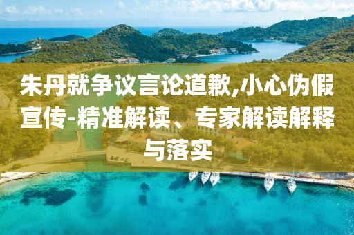 朱丹就爭議言論道歉,小心偽假宣傳-精準解讀、專家解讀解釋與落實