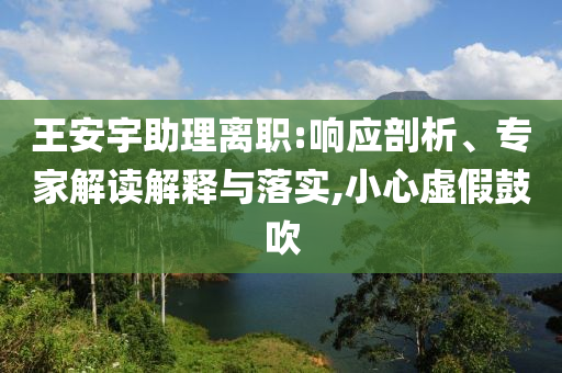 王安宇助理離職:響應(yīng)剖析、專家解讀解釋與落實(shí),小心虛假鼓吹