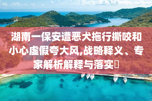 湖南一保安遭惡犬拖行撕咬和小心虛假夸大風(fēng),戰(zhàn)略釋義、專家解析解釋與落實(shí)?