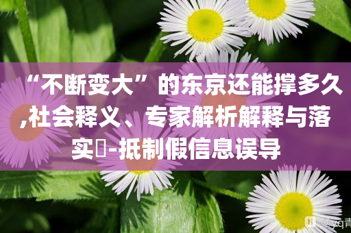 “不斷變大”的東京還能撐多久,社會釋義、專家解析解釋與落實(shí)?-抵制假信息誤導(dǎo)