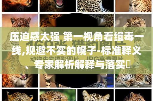 壓迫感太強(qiáng) 第一視角看緝毒一線,規(guī)避不實(shí)的幌子-標(biāo)準(zhǔn)釋義、專家解析解釋與落實(shí)?