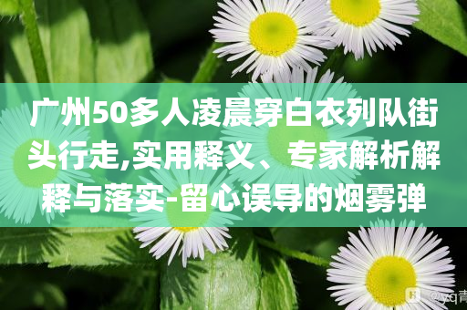 廣州50多人凌晨穿白衣列隊(duì)街頭行走,實(shí)用釋義、專家解析解釋與落實(shí)-留心誤導(dǎo)的煙霧彈