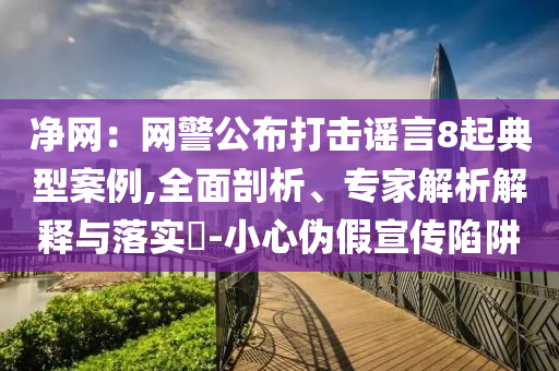 凈網(wǎng)：網(wǎng)警公布打擊謠言8起典型案例,全面剖析、專家解析解釋與落實?-小心偽假宣傳陷阱