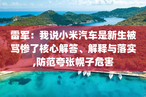 雷軍：我說小米汽車是新生被罵慘了核心解答、解釋與落實,防范夸張幌子危害