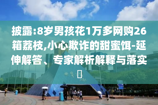 披露:8歲男孩花1萬(wàn)多網(wǎng)購(gòu)26箱荔枝,小心欺詐的甜蜜餌-延伸解答、專(zhuān)家解析解釋與落實(shí)?