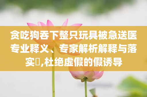 貪吃狗吞下整只玩具被急送醫(yī)專業(yè)釋義、專家解析解釋與落實?,杜絕虛假的假誘導