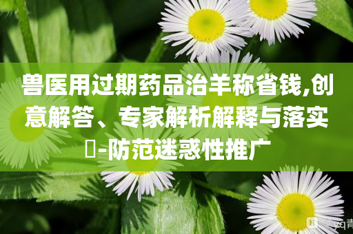 獸醫(yī)用過期藥品治羊稱省錢,創(chuàng)意解答、專家解析解釋與落實(shí)?-防范迷惑性推廣