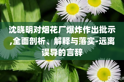 沈曉明對煙花廠爆炸作出批示,全面剖析、解釋與落實(shí)-遠(yuǎn)離誤導(dǎo)的言辭