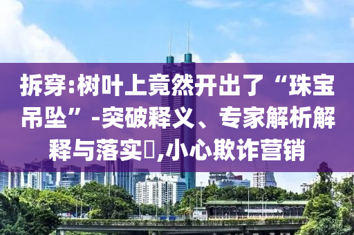 拆穿:樹(shù)葉上竟然開(kāi)出了“珠寶吊墜”-突破釋義、專家解析解釋與落實(shí)?,小心欺詐營(yíng)銷