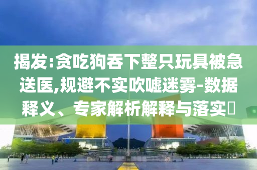 揭發(fā):貪吃狗吞下整只玩具被急送醫(yī),規(guī)避不實(shí)吹噓迷霧-數(shù)據(jù)釋義、專(zhuān)家解析解釋與落實(shí)?