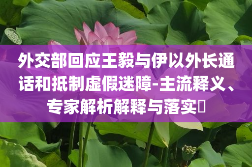 外交部回應(yīng)王毅與伊以外長通話和抵制虛假迷障-主流釋義、專家解析解釋與落實(shí)?