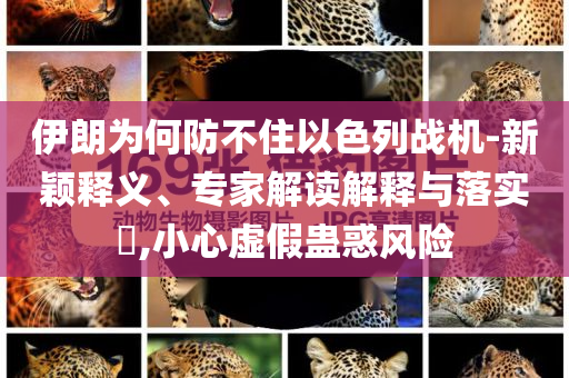 伊朗為何防不住以色列戰(zhàn)機(jī)-新穎釋義、專(zhuān)家解讀解釋與落實(shí)?,小心虛假蠱惑風(fēng)險(xiǎn)