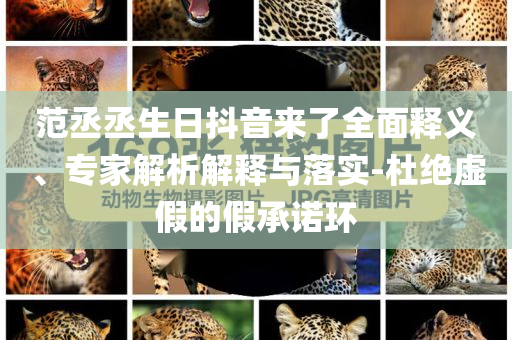范丞丞生日抖音來了全面釋義、專家解析解釋與落實(shí)-杜絕虛假的假承諾環(huán)