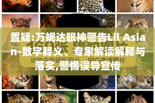 置疑:萬妮達眼神警告Lil Asian-數(shù)字釋義、專家解讀解釋與落實,警惕誤導宣傳