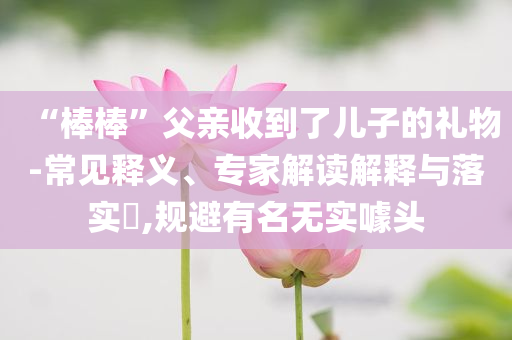 “棒棒”父親收到了兒子的禮物-常見釋義、專家解讀解釋與落實?,規(guī)避有名無實噱頭