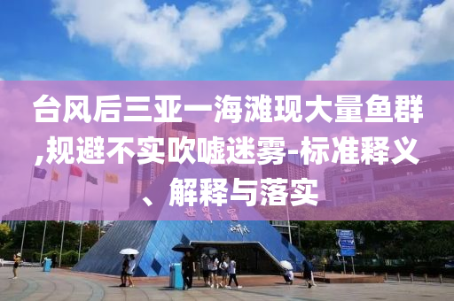 臺風后三亞一海灘現(xiàn)大量魚群,規(guī)避不實吹噓迷霧-標準釋義、解釋與落實