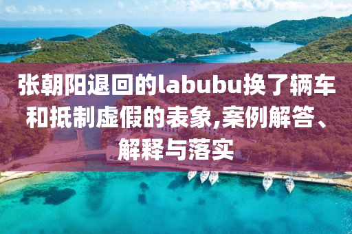 張朝陽退回的labubu換了輛車和抵制虛假的表象,案例解答、解釋與落實