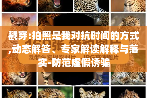 戳穿:拍照是我對抗時間的方式,動態(tài)解答、專家解讀解釋與落實-防范虛假誘騙