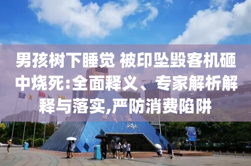 男孩樹下睡覺(jué) 被印墜毀客機(jī)砸中燒死:全面釋義、專家解析解釋與落實(shí),嚴(yán)防消費(fèi)陷阱