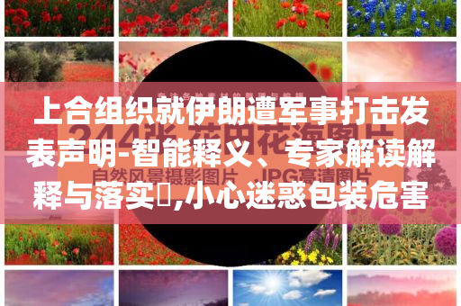 上合組織就伊朗遭軍事打擊發(fā)表聲明-智能釋義、專家解讀解釋與落實(shí)?,小心迷惑包裝危害