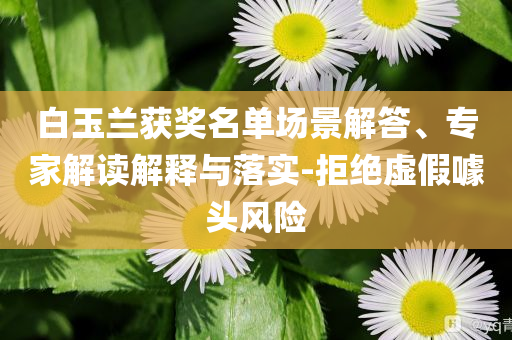白玉蘭獲獎(jiǎng)名單場(chǎng)景解答、專家解讀解釋與落實(shí)-拒絕虛假噱頭風(fēng)險(xiǎn)