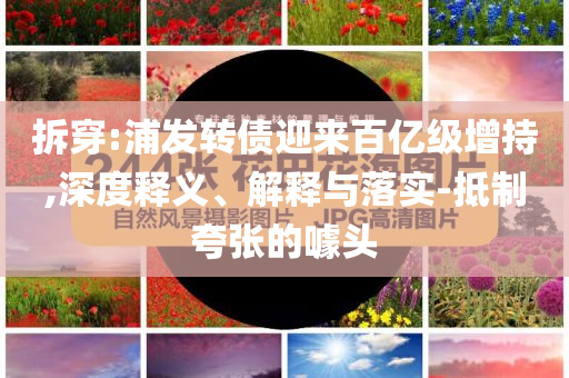 拆穿:浦發(fā)轉(zhuǎn)債迎來(lái)百億級(jí)增持,深度釋義、解釋與落實(shí)-抵制夸張的噱頭