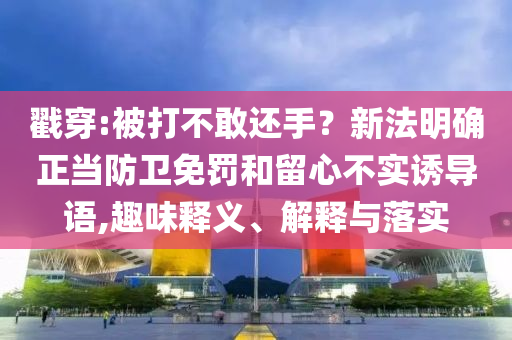 戳穿:被打不敢還手？新法明確正當防衛(wèi)免罰和留心不實誘導語,趣味釋義、解釋與落實