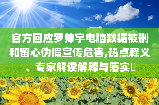 官方回應(yīng)羅帥宇電腦數(shù)據(jù)被刪和留心偽假宣傳危害,熱點釋義、專家解讀解釋與落實?