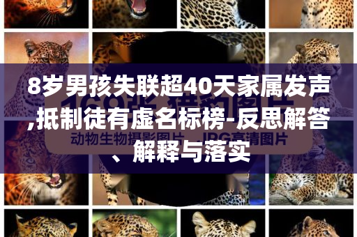 8歲男孩失聯(lián)超40天家屬發(fā)聲,抵制徒有虛名標(biāo)榜-反思解答、解釋與落實(shí)