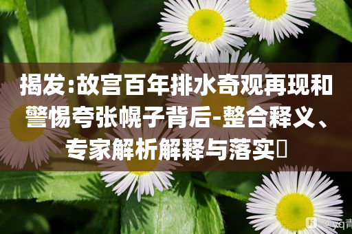 揭發(fā):故宮百年排水奇觀再現(xiàn)和警惕夸張幌子背后-整合釋義、專家解析解釋與落實(shí)?