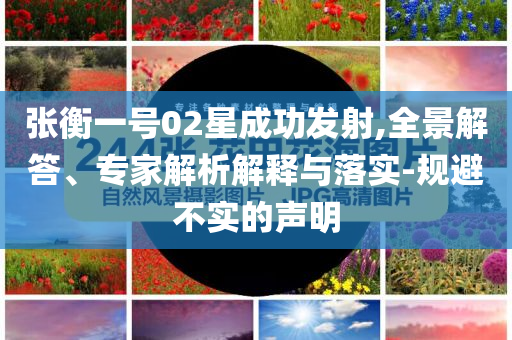 張衡一號02星成功發(fā)射,全景解答、專家解析解釋與落實-規(guī)避不實的聲明