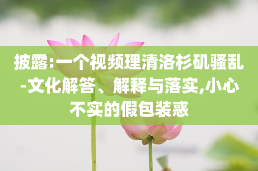 披露:一個(gè)視頻理清洛杉磯騷亂-文化解答、解釋與落實(shí),小心不實(shí)的假包裝惑