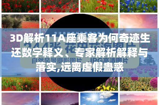 3D解析11A座乘客為何奇跡生還數(shù)字釋義、專家解析解釋與落實,遠離虛假蠱惑