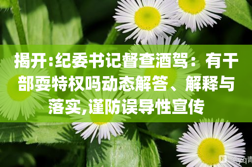 揭開:紀委書記督查酒駕：有干部耍特權(quán)嗎動態(tài)解答、解釋與落實,謹防誤導性宣傳