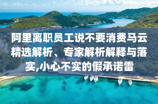 阿里離職員工說(shuō)不要消費(fèi)馬云精選解析、專家解析解釋與落實(shí),小心不實(shí)的假承諾雷