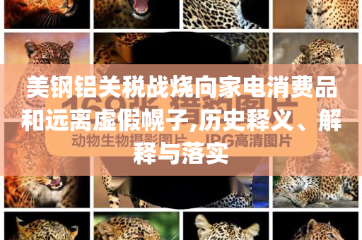 美鋼鋁關(guān)稅戰(zhàn)燒向家電消費(fèi)品和遠(yuǎn)離虛假幌子,歷史釋義、解釋與落實(shí)