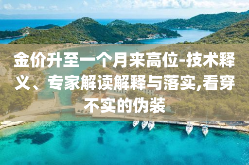 金價(jià)升至一個(gè)月來(lái)高位-技術(shù)釋義、專家解讀解釋與落實(shí),看穿不實(shí)的偽裝
