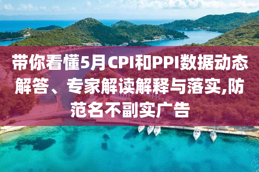 帶你看懂5月CPI和PPI數(shù)據(jù)動(dòng)態(tài)解答、專家解讀解釋與落實(shí),防范名不副實(shí)廣告