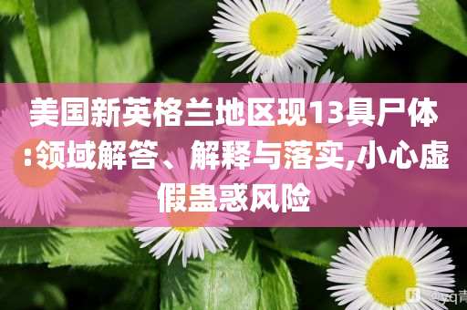 美國新英格蘭地區(qū)現(xiàn)13具尸體:領(lǐng)域解答、解釋與落實(shí),小心虛假蠱惑風(fēng)險(xiǎn)
