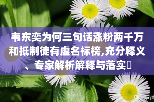 韋東奕為何三句話漲粉兩千萬(wàn)和抵制徒有虛名標(biāo)榜,充分釋義、專(zhuān)家解析解釋與落實(shí)?