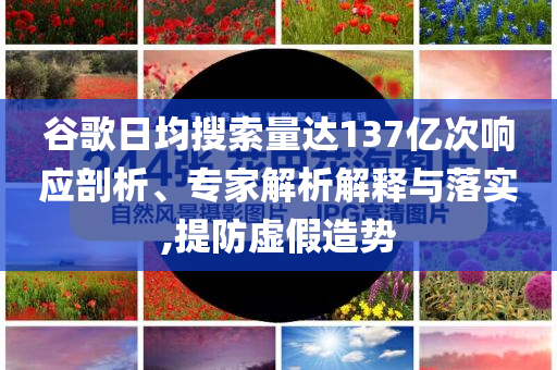 谷歌日均搜索量達137億次響應(yīng)剖析、專家解析解釋與落實,提防虛假造勢