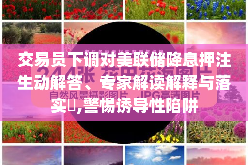交易員下調(diào)對美聯(lián)儲降息押注生動解答、專家解讀解釋與落實?,警惕誘導(dǎo)性陷阱