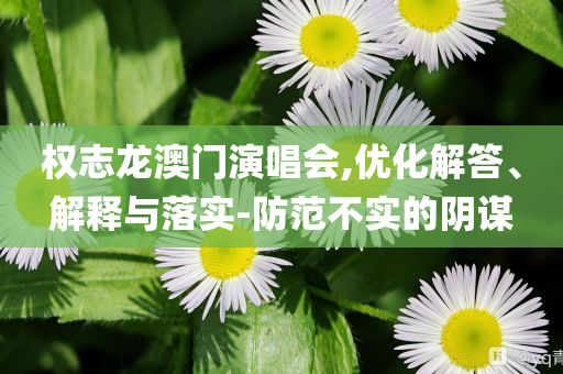 權志龍澳門演唱會,優(yōu)化解答、解釋與落實-防范不實的陰謀