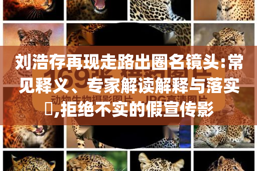 劉浩存再現(xiàn)走路出圈名鏡頭:常見釋義、專家解讀解釋與落實?,拒絕不實的假宣傳影