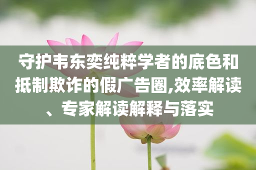 守護韋東奕純粹學者的底色和抵制欺詐的假廣告圈,效率解讀、專家解讀解釋與落實