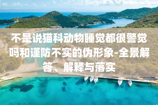 不是說貓科動物睡覺都很警覺嗎和謹防不實的偽形象-全景解答、解釋與落實